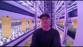 Walkthrough of vertical farm 4k [upl. by Pegma]