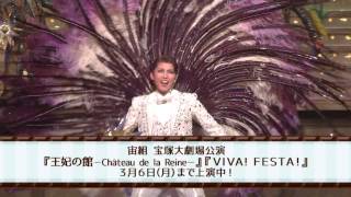 宙組公演『王妃の館 －Château de la Reine－』『VIVA！ FESTA！』初日舞台映像（ロング） [upl. by Annav]