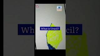 what is Uracil shorts rna genetics microbiologyviral [upl. by Lyndsay]