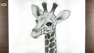 Giraffe Drawing  How to Draw Giraffe Step by Step for Beginners  Giraffe Face Drawing [upl. by Lemcke]