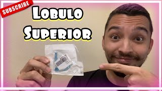 🟢 Como Perforarse el Lóbulo Superior piercing sola en casa 2021 sin dolor segundo arete dela oreja [upl. by Luigino]