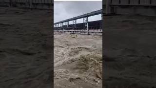 Kosi Nadi barrage pani ka raftar dekh sakte hain Kitna jyada badha hua hai 😭🙏😱shortvideo shorts 😂 [upl. by Anglim676]