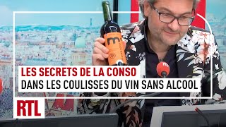 Olivier Dauvers  dans les coulisses du vin sans alcool [upl. by Selrhc]