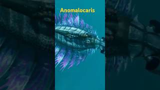 Additions Ascended Anomalocaris Premium Mod [upl. by Eeral]