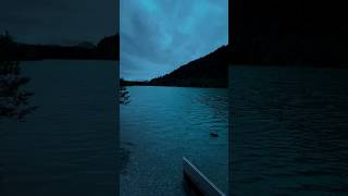 nature twilight peace natural fog cloud forest rain lake [upl. by Eicyal149]