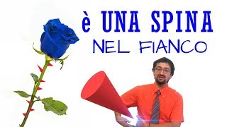 Learn Italian ADVANCED level C1C2  Lespressione quotuna spina nel fiancoquot [upl. by Saltsman794]