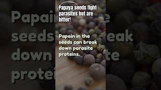 03  Parasite Solution CHEW This Herb Papaya Seeds to Eliminate Parasites papayaseeds parasites [upl. by Farmer171]