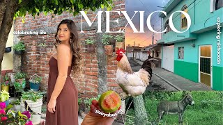 MEXICO VLOG [upl. by Adai298]