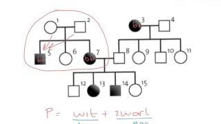 BiologieErfelijkheiddominant of recessief in stambomen [upl. by Oironoh]