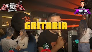 🎶🎶🎶GRITARIA SONIDO SUPER  MIRZ EN CLUB SOCIAL MEDUSA 🎶🎶🎶 [upl. by Dygall494]