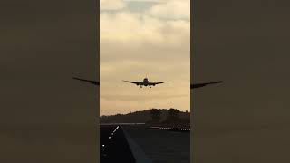 Brasilian AirForce 767 Landing at Galeao Airport l MSFS [upl. by Glynas760]