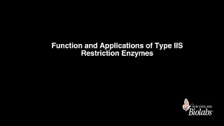 Function and Application of Type IIS Restriction Enzymes [upl. by Coltson]