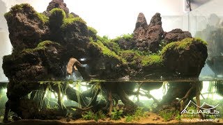 Un paludarium en aquascaping  Un décor inspiré du Mordor  Par Laurent Garcia [upl. by Niarb]