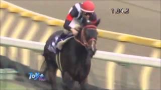 競馬 ２０１２年上半期Ｇ１レース [upl. by Adaj]