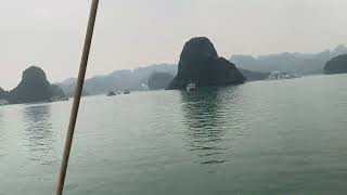 Halong Bay Exploration Navigating the Jewel of Vietnam [upl. by Isaiah]