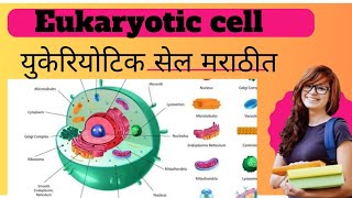 quotEukaryotic Cell Structure and Functionquot [upl. by Vudimir793]