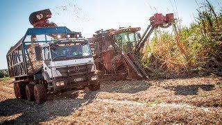 MERCEDESBENZ  AXOR 3131 8x4 AUTÔNOMO [upl. by Sarkaria]