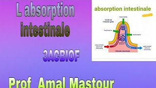 l absorption intestinale 3 ACBIOF [upl. by Cuyler]