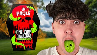 I Ate The 2023 One Chip Challenge [upl. by Amandi]