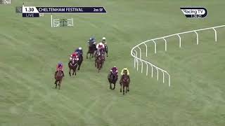 Cheltenham Festival 2020 Day 2  All Finishes [upl. by Dadinirt]