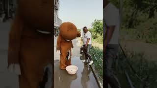 What watermelon do you eat on a hot day Pippi Bear Funny video rippibear viralshorts trollbear [upl. by Sholes878]