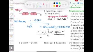 Beta thalassemia major haematology 34 First Aid USMLE Step 1 in UrduHindi [upl. by Hachman473]