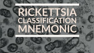 Rickettsia Classification mnemonic  Microbiology [upl. by Nogem982]