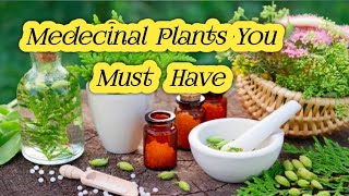 🔴Amazing health benefits of medicinal 💊plants  Medecinal Herbs Gardeningchannel2024 [upl. by Ellehc91]