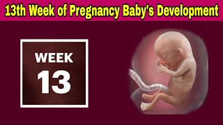 13th Week of Pregnancy Symptoms Changes amp Baby Development  13th Week of Pregnancy in telugu [upl. by Calloway]