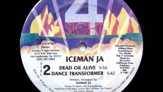 Iceman Ja  Dance Transformer Pole Dub Mental Mix [upl. by Pfosi320]