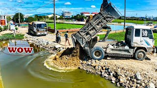 New A Project Dozer D20A amp Truck 5T pushing soil Pour dry soil into flooded soil on size 40mX20m [upl. by Sosthena]