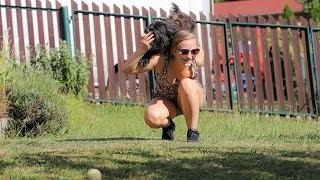 dog tricks by Pyrenean Shepherd [upl. by Lamaaj]