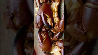 creb recipe in hindifood asmr crab eating asmrstreetfood [upl. by Kamaria]