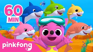 3D Bebê Tubarão com Pinkfong e mais músicas infantis  Compilação  Pinkfong Canções para crianças [upl. by Notsnarc224]