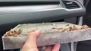 In Hand Review of ECOGARD Premium Cabin Air Filter [upl. by Cimbura]