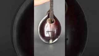 Gibson K2 Mandocello [upl. by Ynots]