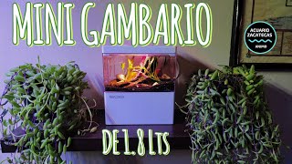 MINI GAMBARIO DE 18Lts [upl. by Bolger]