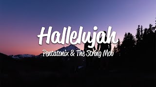 Pentatonix  Hallelujah Lyrics [upl. by Yrdua]