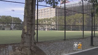 Elementary School Students Take Stand Against Pesticides In City Parks [upl. by Yonatan]