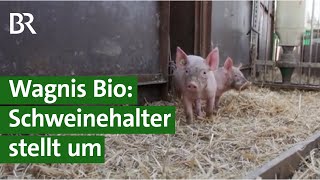 Neue Wege  Landwirt stellt um auf Bio Schweinehaltung eine Reportage  Unser Land  BR [upl. by Arlena]