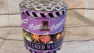 Untamed Warrior  Black Panther Fireworks  UK Landed Footage [upl. by Ashlee730]