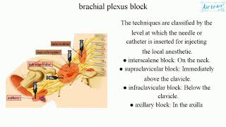 brachial plexus block English  Medical terminology for medical students [upl. by Ilrebmyk923]