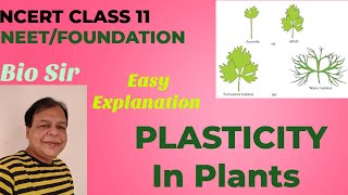 Plasticity and Heterophylly Plant Growth and Development  Class 11 [upl. by Ocsisnarf]