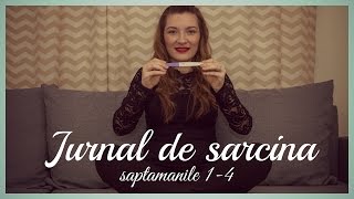 JURNAL DE SARCINA  saptamanile 14  Kinga [upl. by Ettedualc555]