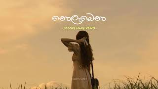 Nolabena  නොලැබෙනා  Slowed  Reverb [upl. by Nali]