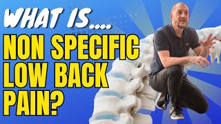 What is non specific low back pain NSLBP explained in 6 minutes [upl. by Kcirdek]