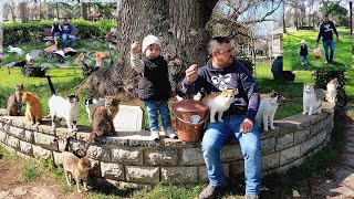 The amazing love between a baby and stray cats Baby Cat Love [upl. by Adnek221]