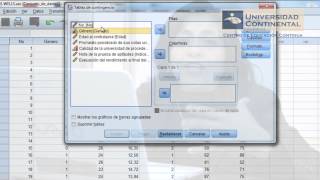 Tablas de contingencia con SPSS [upl. by Colvert741]