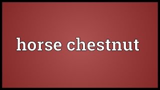 Horse chestnut Meaning [upl. by Kristy]