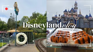 UNEDITED DISNEYLAND VLOG  casey jr walks and views tigger tail disneyland band amp great maple 🚂🏰 [upl. by Nealey]